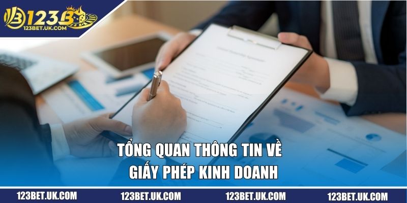 Giấy Phép Kinh Doanh 123BET - Cam Kết An Toàn Và Minh Bạch 1 Tổng quan thông tin về giấy phép kinh doanh